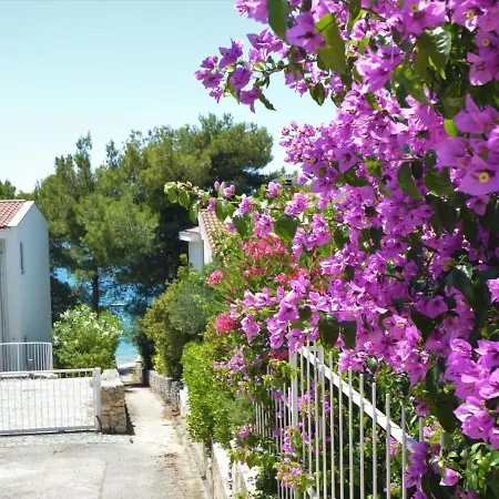 Apartment Rose-1 By Interhome