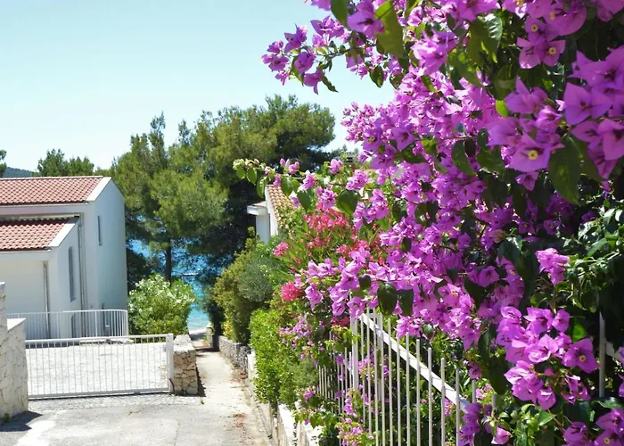 Apartment Rose-1 By Interhome