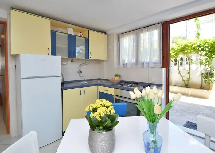 Rose-1 By Interhome * Zaboric